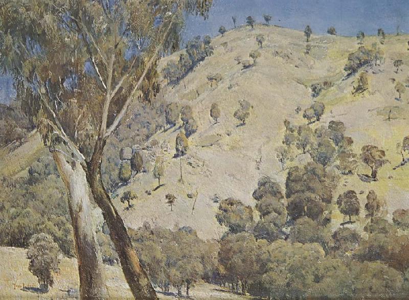 Tom roberts Australian landscape Germany oil painting art